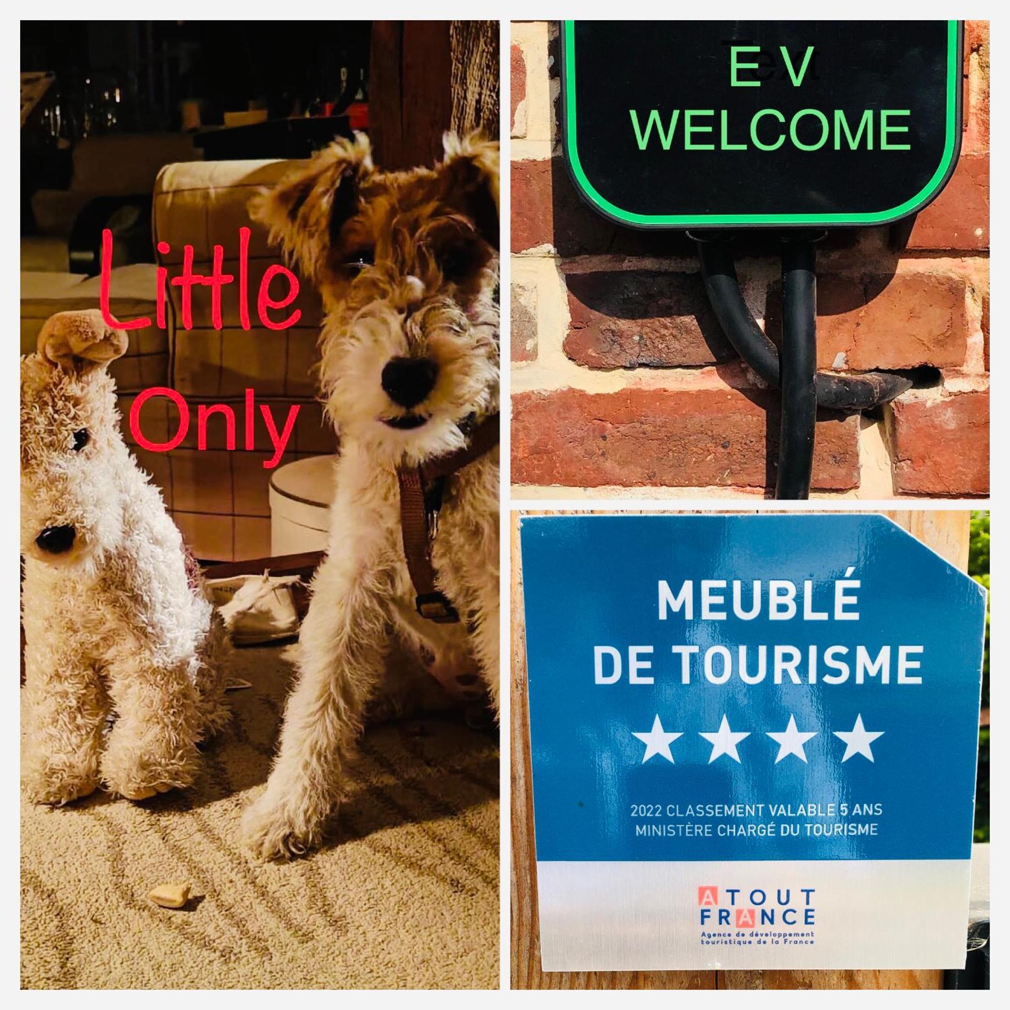Rouge Cottage Gite 4 Etoiles Billard Gueutteville-les-Gres Екстериор снимка